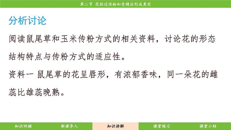 济南版（2024）生物七年级下册 3.2.2 花经过传粉和受精后形成果实（课件）第8页