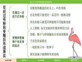 济南版（2024）生物七年级下册 3.2.3 种子萌发需要适宜的条件（课件）
