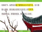 济南版（2024）生物七年级下册 3.2.4 芽是未发育的枝条或花（课件）