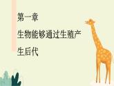 济南版（2024）生物七年级下册 4.1.1 无性生殖保持了生物遗传特征的稳定（课件）