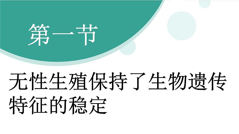 济南版（2024）生物七年级下册 4.1.1 无性生殖保持了生物遗传特征的稳定（课件）第3页