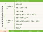 济南版（2024）生物七年级下册 4.1.1 无性生殖保持了生物遗传特征的稳定（课件）
