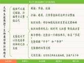 济南版（2024）生物七年级下册 4.1.2 有性生殖增加了后代的多样性（课件）