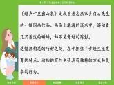 济南版（2024）生物七年级下册 4.1.2 有性生殖增加了后代的多样性（课件）