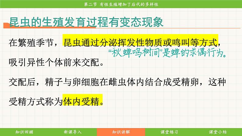 济南版（2024）生物七年级下册 4.1.2 有性生殖增加了后代的多样性（课件）第7页