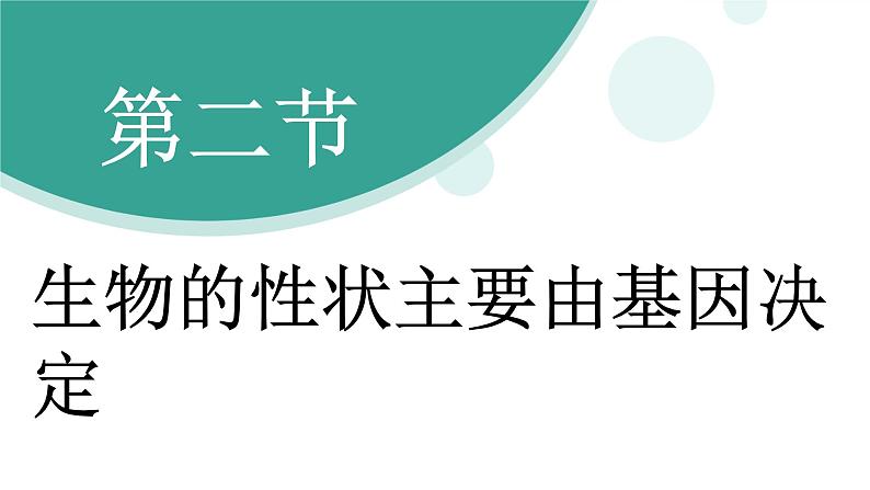 济南版（2024）生物七年级下册 4.3.2 生物的性状主要由基因决定（课件）第3页