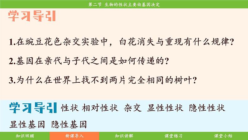 济南版（2024）生物七年级下册 4.3.2 生物的性状主要由基因决定（课件）第7页