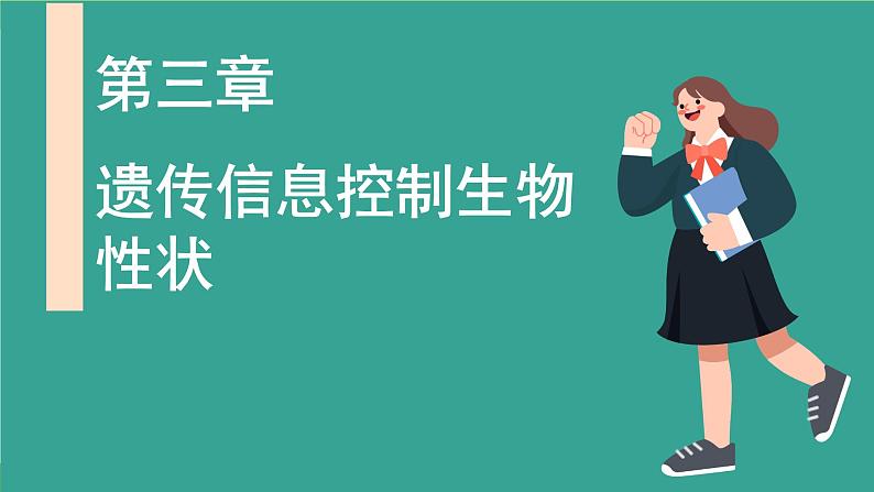 济南版（2024）生物七年级下册 4.3.3 性染色体决定人的性别（课件）第2页