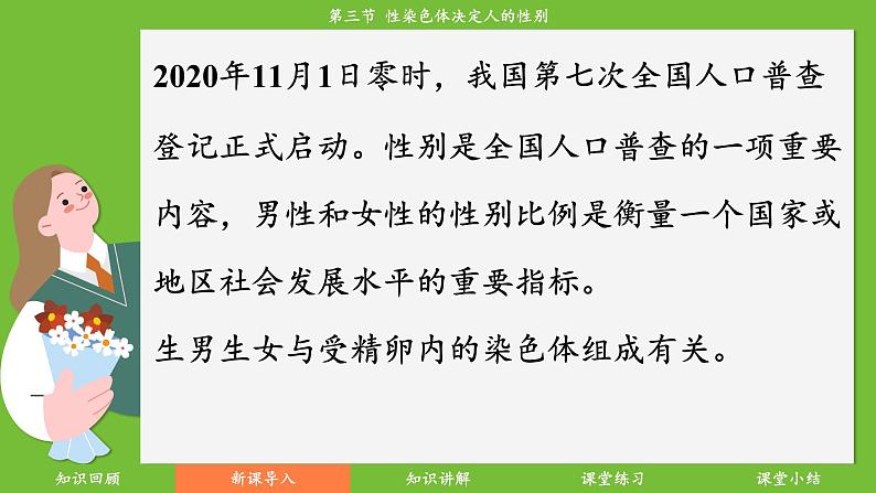 济南版（2024）生物七年级下册 4.3.3 性染色体决定人的性别（课件）第5页