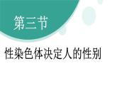 济南版（2024）生物七年级下册 4.3.4 遗传信息改变可引起生物变异（课件）