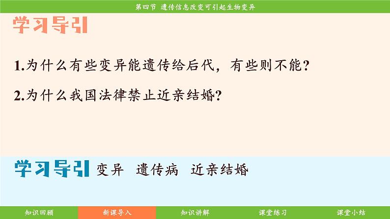 济南版（2024）生物七年级下册 4.3.4 遗传信息改变可引起生物变异（课件）第7页