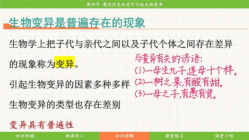 济南版（2024）生物七年级下册 4.3.4 遗传信息改变可引起生物变异（课件）第8页