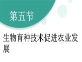 济南版（2024）生物七年级下册 4.3.5生物育种技术促进农业发展（课件）