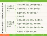 济南版（2024）生物七年级下册 4.3.5生物育种技术促进农业发展（课件）