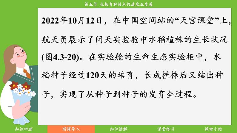 济南版（2024）生物七年级下册 4.3.5生物育种技术促进农业发展（课件）第5页