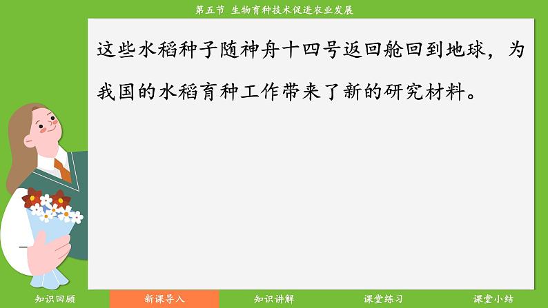 济南版（2024）生物七年级下册 4.3.5生物育种技术促进农业发展（课件）第6页