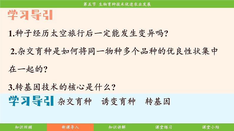 济南版（2024）生物七年级下册 4.3.5生物育种技术促进农业发展（课件）第7页