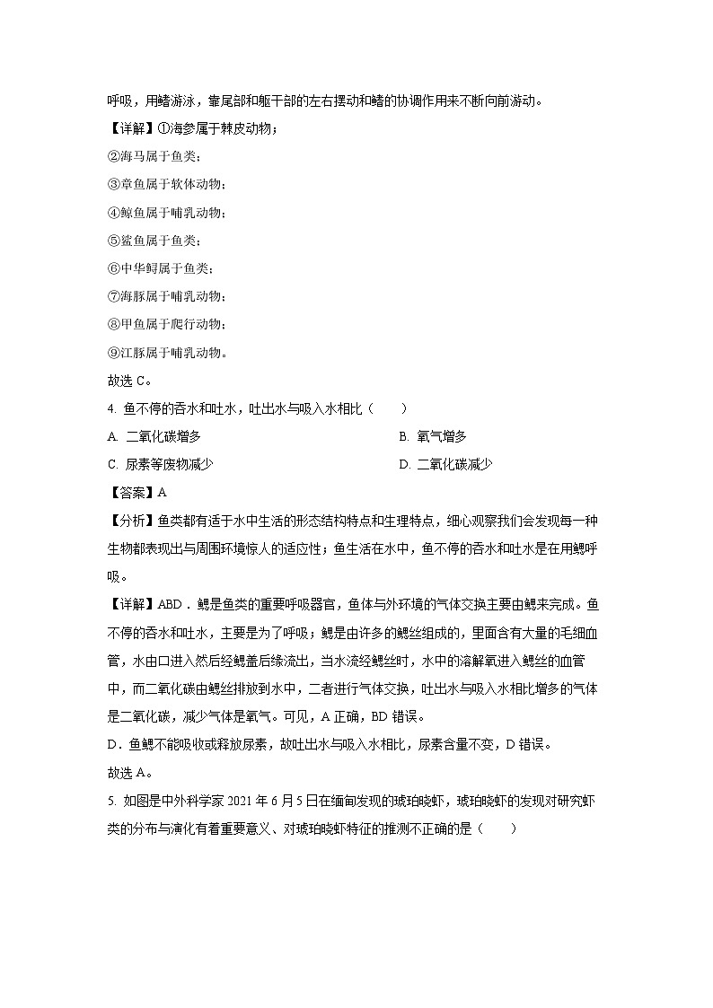 2023~2024学年山东省聊城市阳谷县八年级上期末生物试卷（解析版）第3页