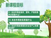 3.2.2 光合作用（課件）-2024-2025學(xué)年七年級生物下冊同步（人教版2024）