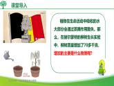 3.2.2 光合作用（課件）-2024-2025學(xué)年七年級生物下冊同步（人教版2024）
