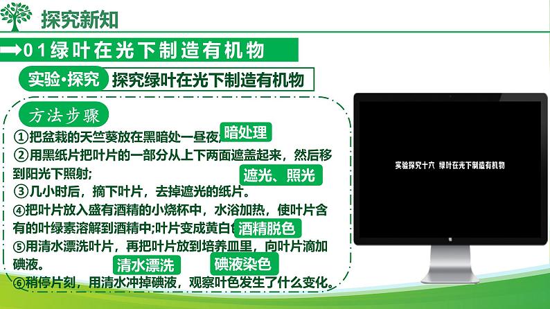 3.2.2 光合作用（课件）-2024-2025学年七年级生物下册同步（人教版2024）第7页