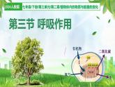 3.2.3 呼吸作用（課件）-2024-2025學(xué)年七年級生物下冊同步（人教版2024）