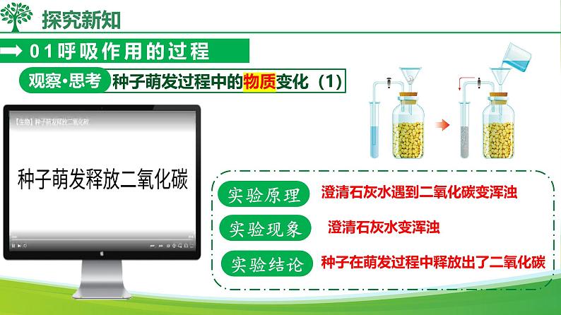 3.2.3 呼吸作用（课件）-2024-2025学年七年级生物下册同步（人教版2024）第8页