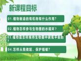 3.2.4 植物在自然界中的作用（課件）-2024-2025學(xué)年七年級生物下冊同步（人教版2024）