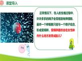 4.1.1 人的生殖（课件）-2024-2025学年七年级生物下册同步（人教版2024）