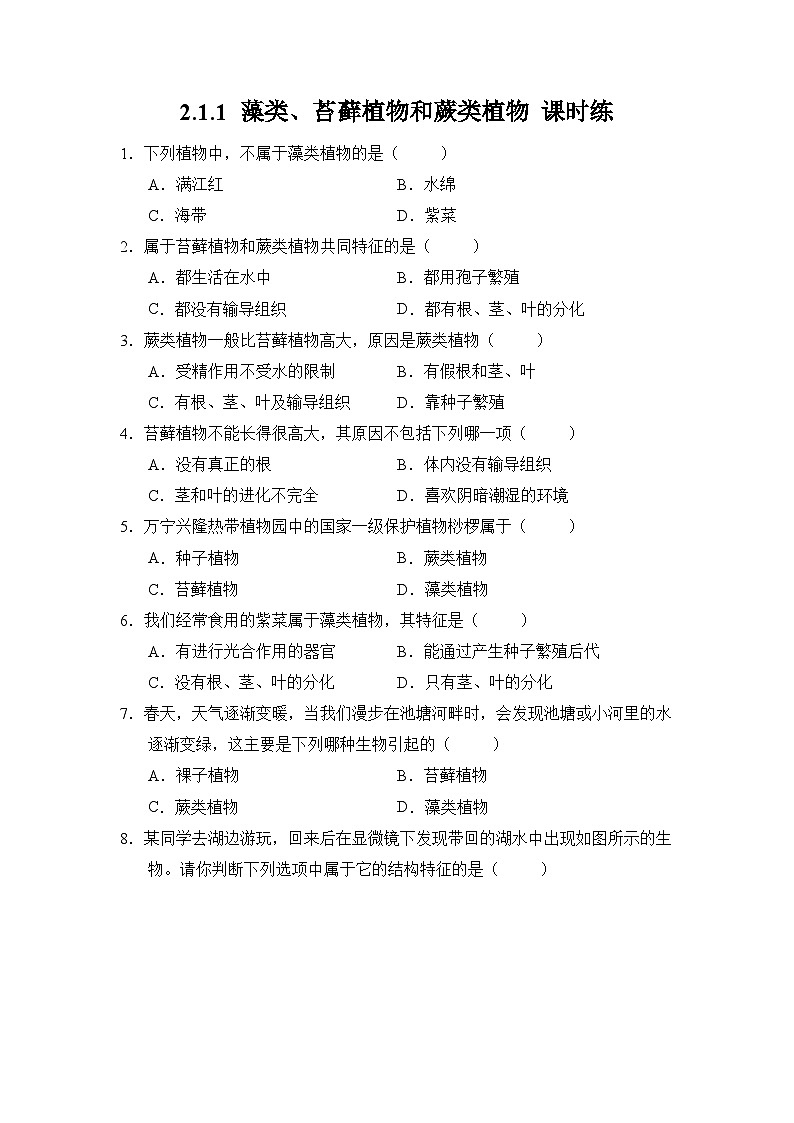 人教版（2024）七年级生物上册2.1.1 藻类、苔藓植物和蕨类植物 课时练（含答案）第1页