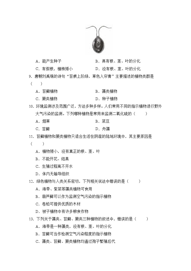 人教版（2024）七年级生物上册2.1.1 藻类、苔藓植物和蕨类植物 课时练（含答案）第2页