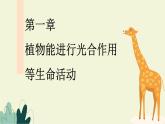 济南版（2024）生物七年级下册 3.1.2 蒸腾作用促进植物对水的吸收和运输（课件）