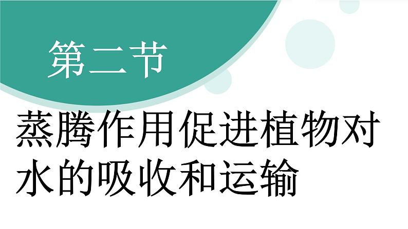 济南版（2024）生物七年级下册 3.1.2 蒸腾作用促进植物对水的吸收和运输（课件）第3页