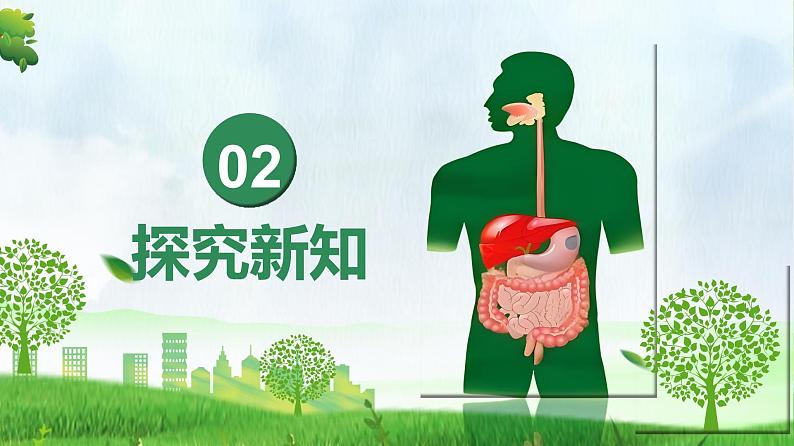 4.2.2消化和吸收（课件）-2024-2025学年七年级生物下册同步（人教版2024）第5页