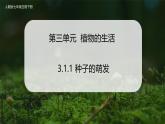 【人教版】七下生物 3.1.1 种子的萌发（课件+教案+导学案+练习+视频）
