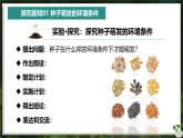 【人教版】七下生物 3.1.1 种子的萌发（课件+教案+导学案+练习+视频）