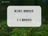 【人教版】七下生物 3.1.2 植株的生长（课件+教案+导学案+练习+视频）
