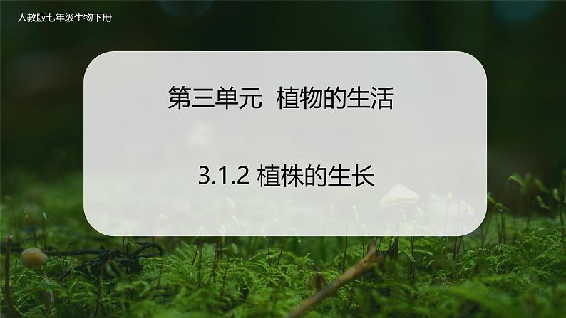 3.1.2 植株的生长第1页