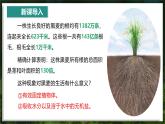 【人教版】七下生物 3.1.2 植株的生长（课件+教案+导学案+练习+视频）
