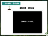 【人教版】七下生物 3.1.3 开花和结果（课件+教案+导学案+练习+视频）