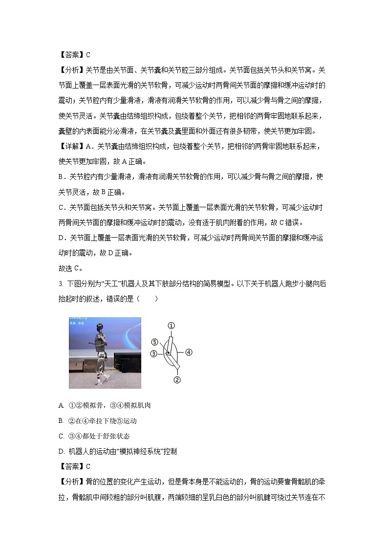 北京市朝阳区2024--2025学年八年级上学期期末生物试卷（解析版）第2页