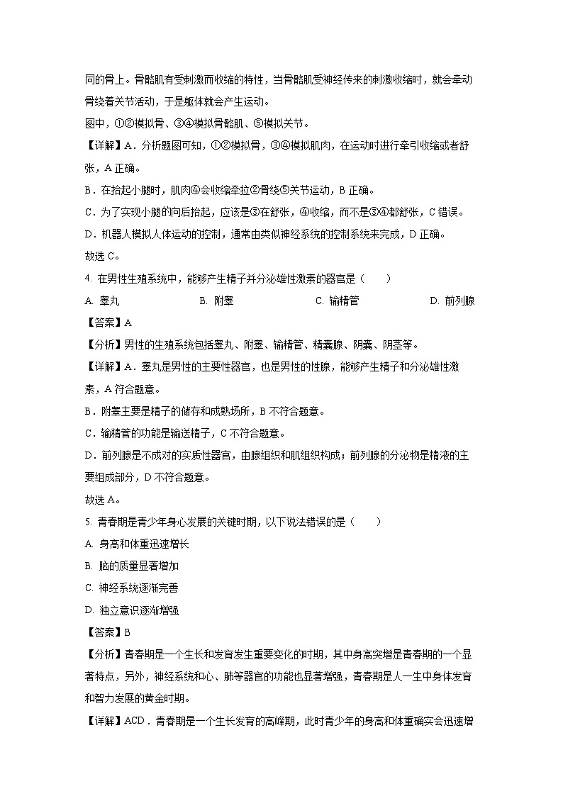 北京市朝阳区2024--2025学年八年级上学期期末生物试卷（解析版）第3页