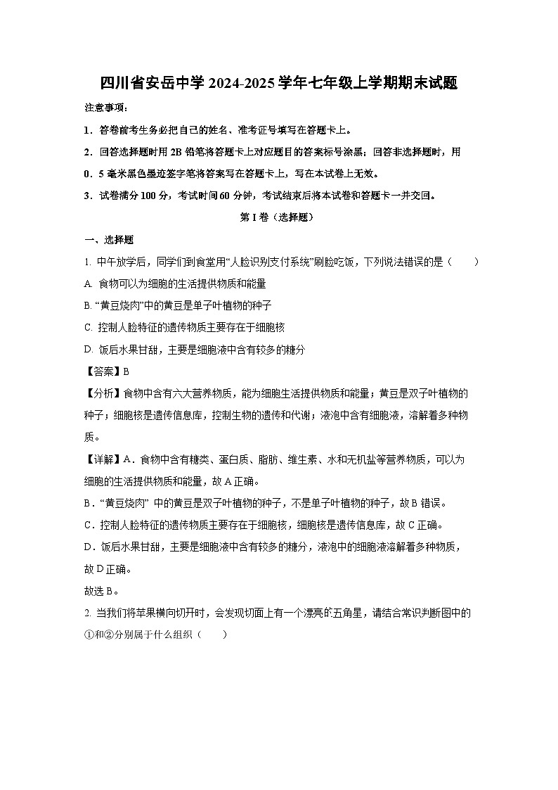 四川省安岳中学2024-2025学年七年级上学期期末生物试卷（解析版）第1页