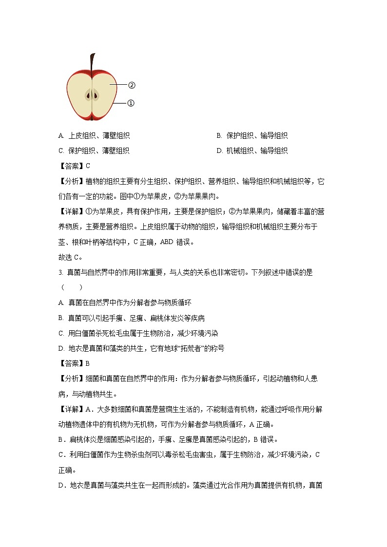 四川省安岳中学2024-2025学年七年级上学期期末生物试卷（解析版）第2页