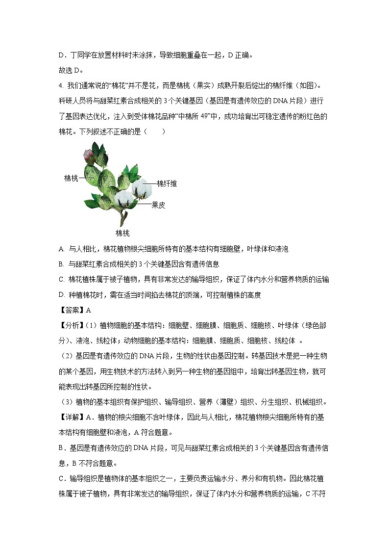 四川省德阳市广汉市2024-2025学年七年级上学期期末生物试卷（解析版）第3页