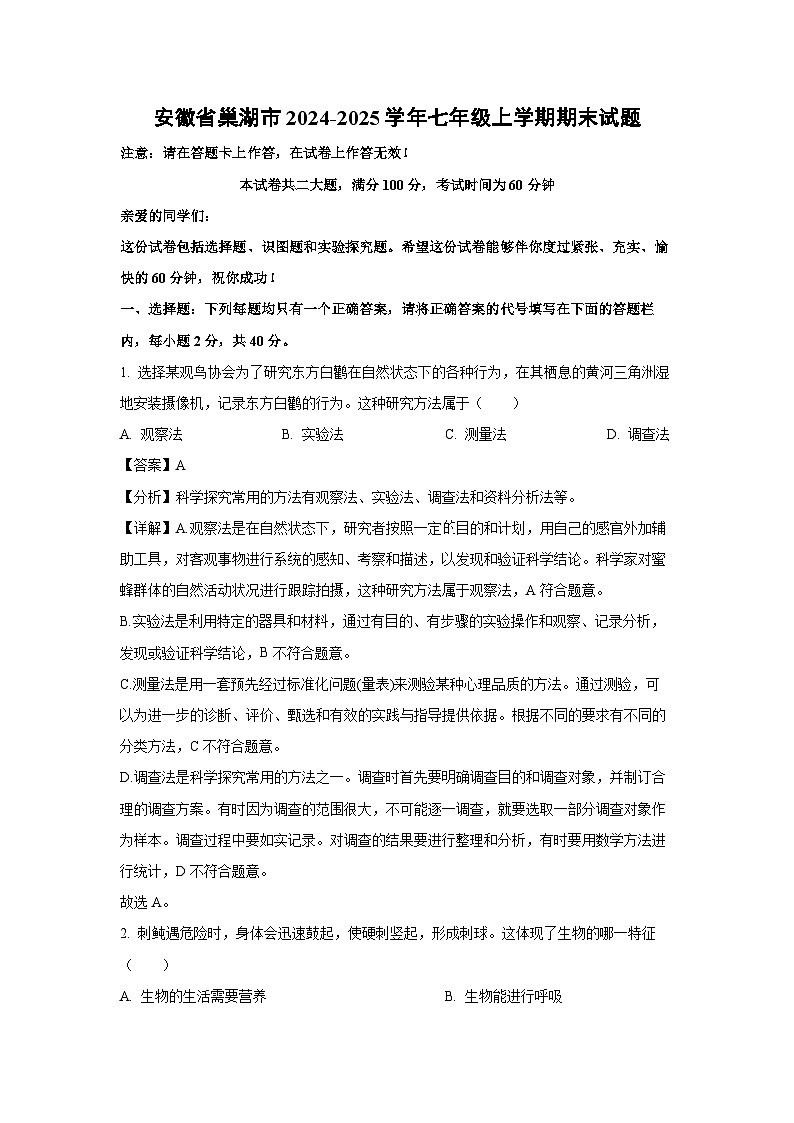 安徽省巢湖市2024-2025学年七年级上学期期末生物试卷（解析版）第1页