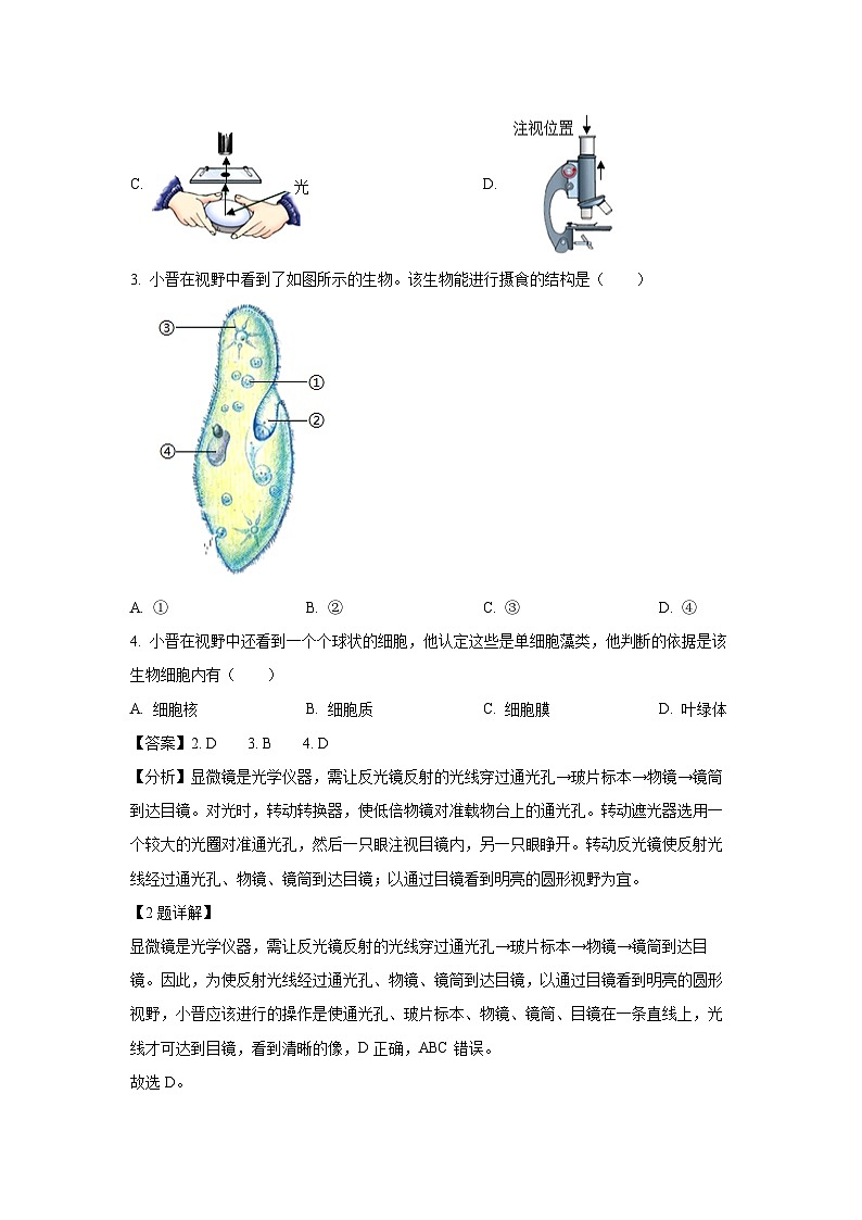 山西省运城市2024-2025学年七年级上学期期末生物试卷（解析版）第2页