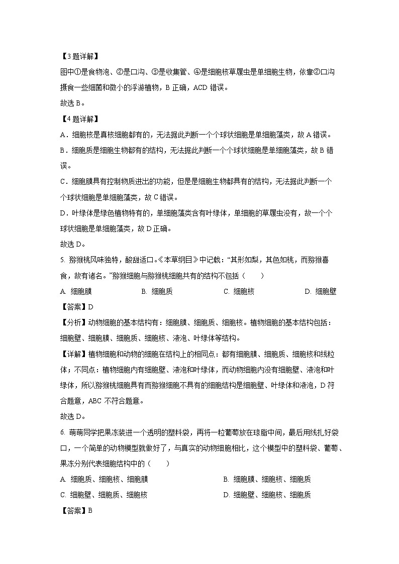 山西省运城市2024-2025学年七年级上学期期末生物试卷（解析版）第3页