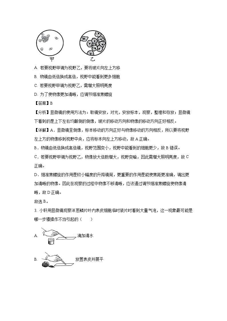 广东省中山市2024-2025学年七年级上学期期末生物试卷（解析版）第2页