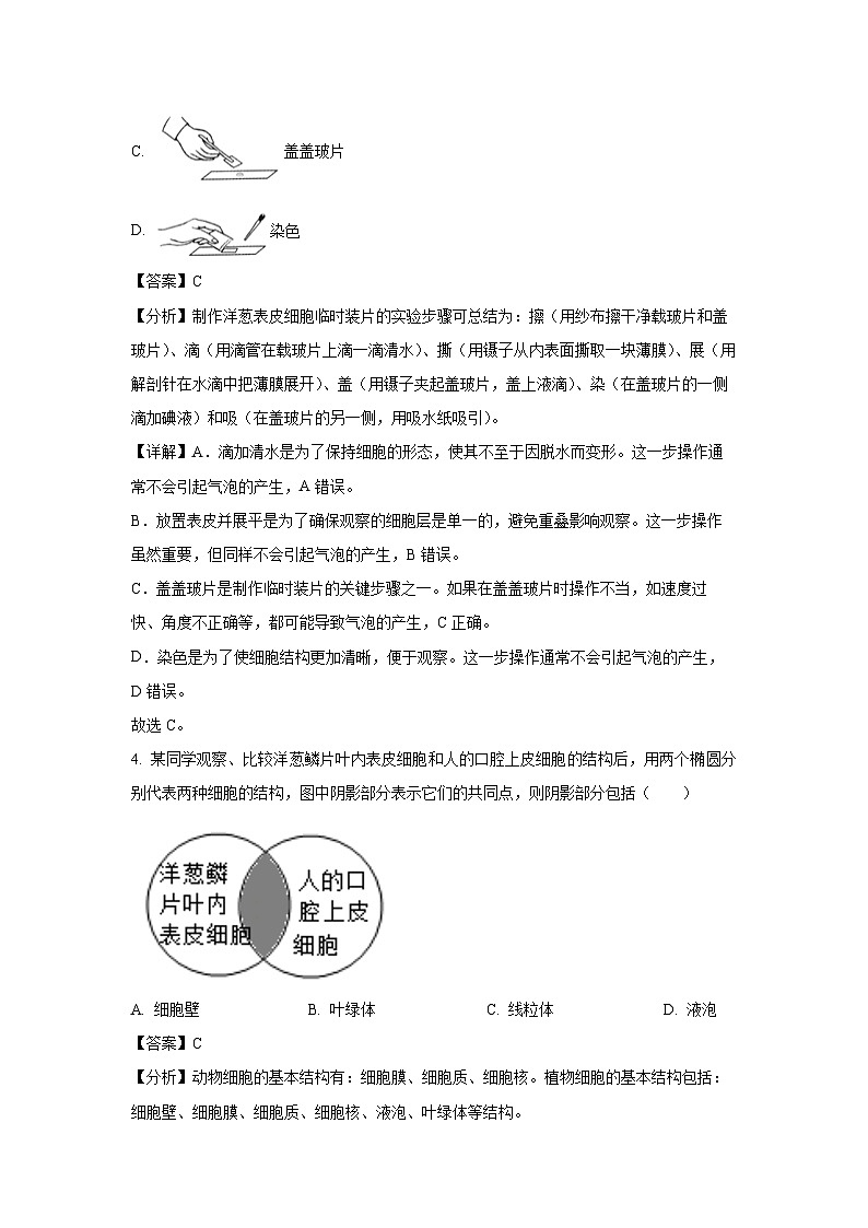 广东省中山市2024-2025学年七年级上学期期末生物试卷（解析版）第3页